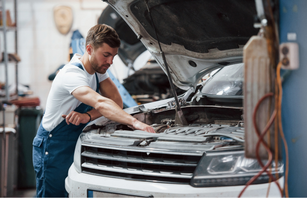 صورة المقال